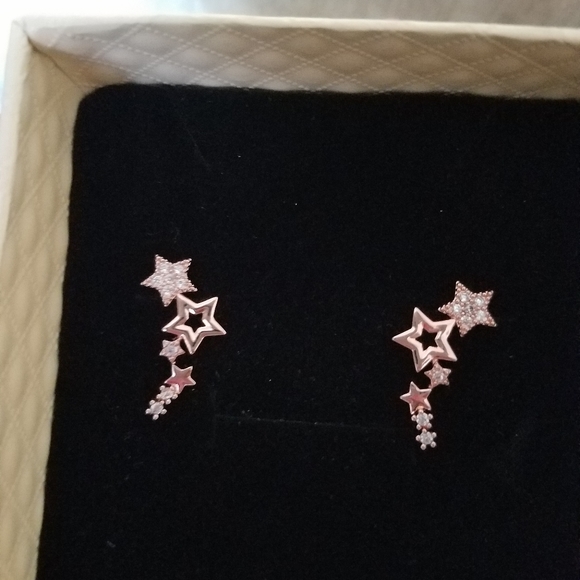 Rose Gold Micro Pave Star Crawler Earrings - Picture 3 of 7